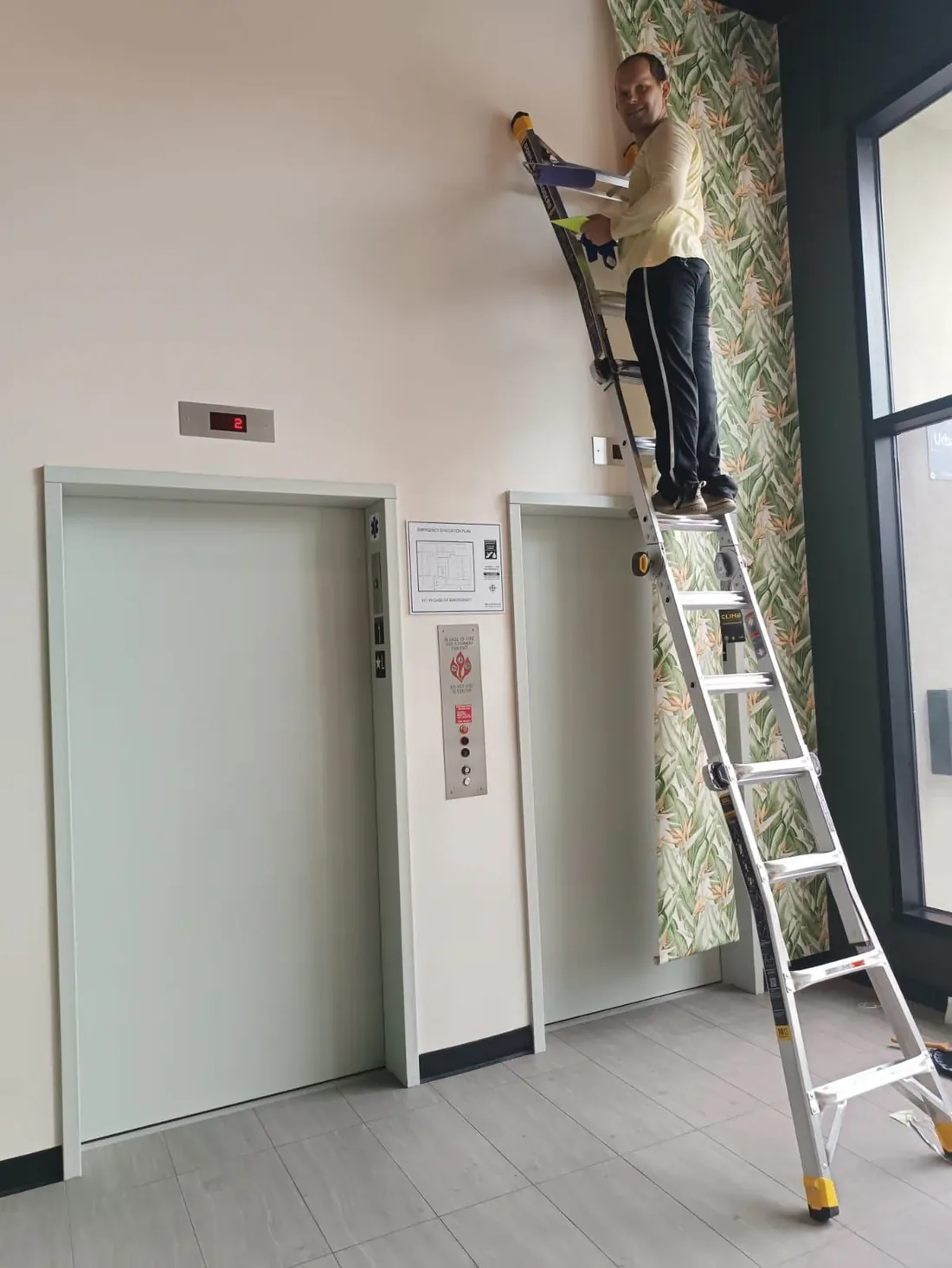 Lead Wallpaper Installer